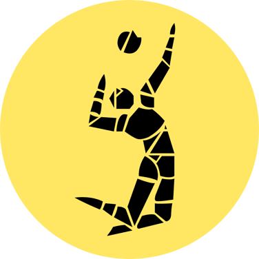 Volley World App